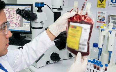 ¿Qué es un banco de sangre y cómo almacenar sangre correctamente?